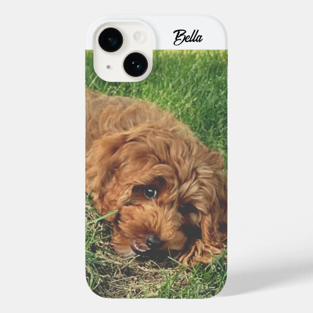 Süße Golden Doodle Case-Mate iPhone Hülle (Rückseite)