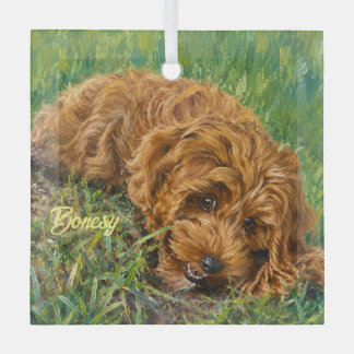 Süße Golden Doodle Ornament Aus Glas