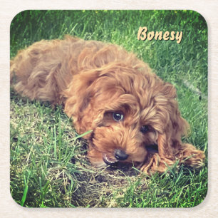 Süße Golden Doodle Rechteckiger Pappuntersetzer