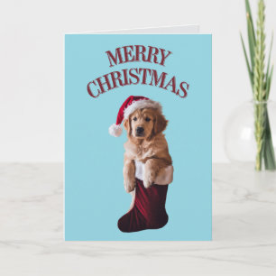 Süße Golden Retriever Weihnachtskarte Dankeskarte