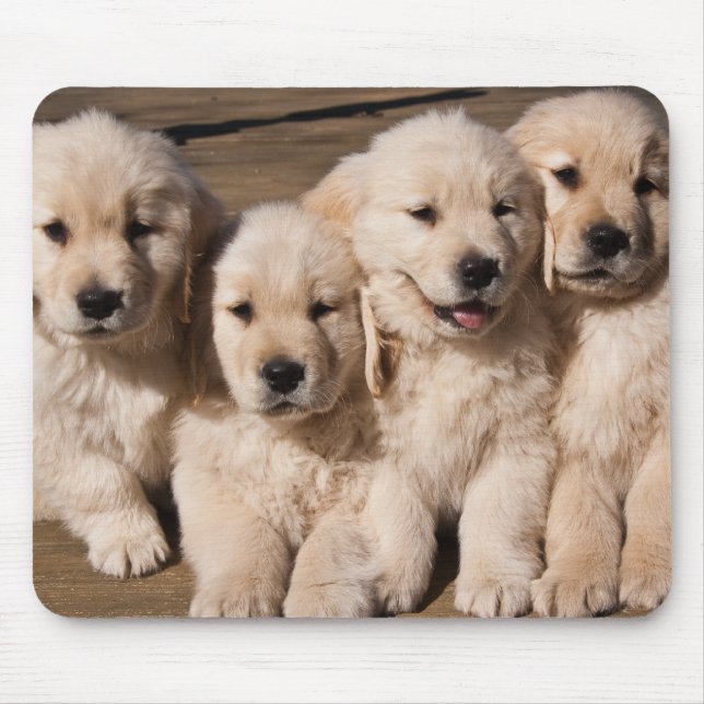 Süße golden retriever-Welpen Mousepad (Vorne)
