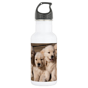 Süße golden retriever-Welpen Trinkflasche
