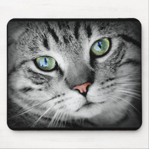 Süße graue Kitty-Katze Gesicht Mauspad