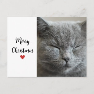 Süße graue schlafende Katze Weihnachts-Feiertags-L Feiertagspostkarte