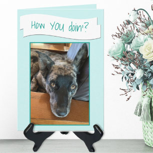 Süße große Ohren Hund Foto Platzhalterkarte Karte