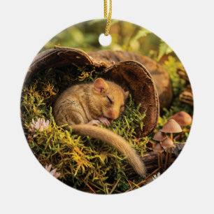 Süße Haselmaus schläft in einem Lederstiefel Keramik Ornament