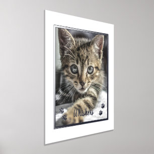 Süße Haustierliebhaber Personalisiertes Katzenfoto Foliendrucke