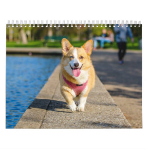 Süße Hunde Einfach Minimal Kalender