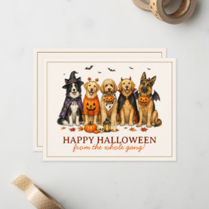 Süße Hunde in Kostümen Halloween Mitteilungskarte