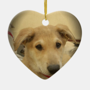 Süße Hunde und Welpen, der zweitbeste Freund des M Keramik Ornament