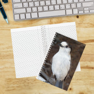 Süße Kanada-Jay-Natur-Foto Notizbuch
