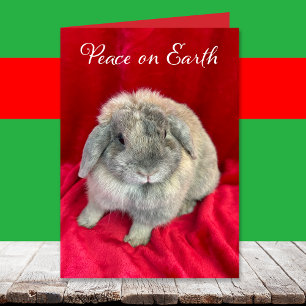 Süße Kaninchen-Weihnachtskarten Feiertagskarte
