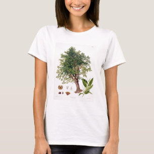 Süße Kastanie, graviert von A. Haase (Farbelitho T-Shirt