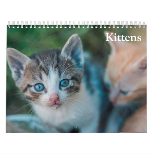 Süße Kätzchen 2027 Kalender