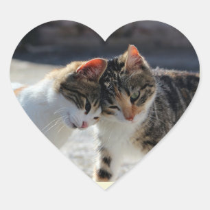 Süße Kätzchen Katzenliebe Kuscheln Herz-Aufkleber