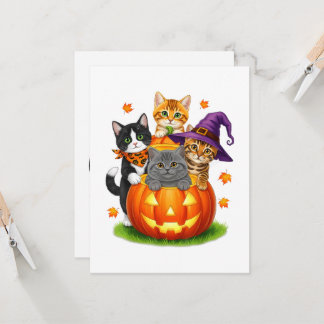 Süße Kätzchen Kürbis Halloween Gruselige Jahreszei Einladung