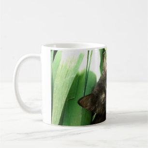 Süße Kätzchen kuscheln Kaffeetasse