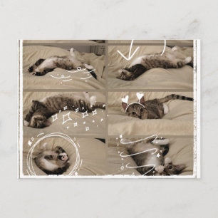Süße Kätzchen-Postkarte Postkarte