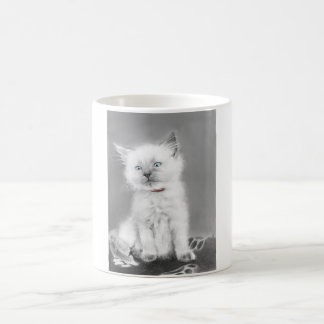 Süße Kätzchen-Tasse Kaffeetasse