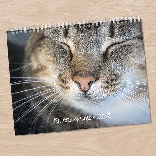 Süße Kätzchen und Katzen Haustier-Foto Kalender