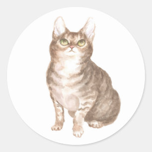 Süße Katze Braune Tabby Katzenrettung Kitty Liebha Runder Aufkleber