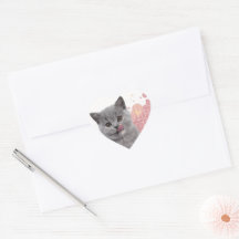Süße Katze