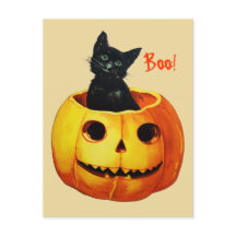 Süße Katze im Kürbis Vintage-Halloween-Postkarte