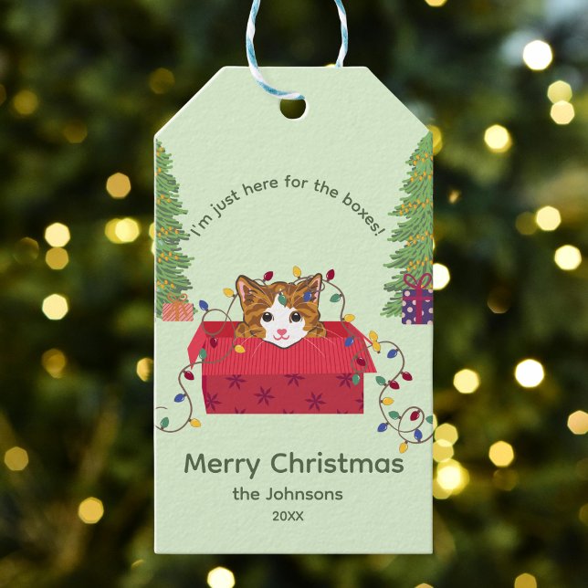 Süße Katze in einer Box hier für die Kisten Weihna Geschenkanhänger (Von Creator hochgeladen)