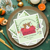 Süße Katze in einer Schachtel Hier wegen der Schac