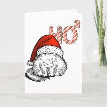 Süße Katze in Weihnachtsmannmütze Ho hoch drei (Ho