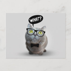 Süße Katze Kätzchen mit Brille was Zitat Druck Postkarte