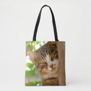 Süße Katze klettert auf einen Baum