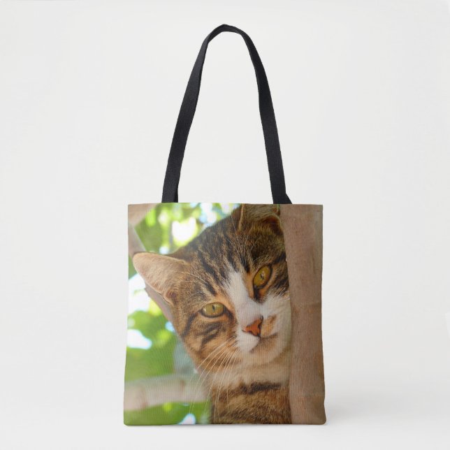 Süße Katze klettert auf einen Baum (Vorderseite)