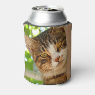 Süße Katze klettert auf einen Baum Dosenkühler