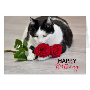 Süße Katze mit der roten Rose