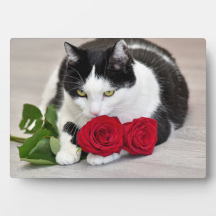 Süße Katze mit der roten Rose Fotoplatte