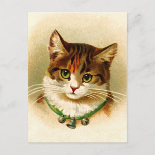 Süße Katze mit Glöckchenhalsband Postkarte