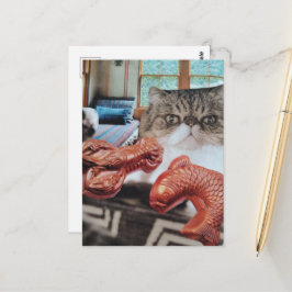 Süße Katze mit Hummer und Fisch Collage Postkarte