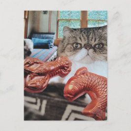Süße Katze mit Hummer und Fisch Collage Postkarte