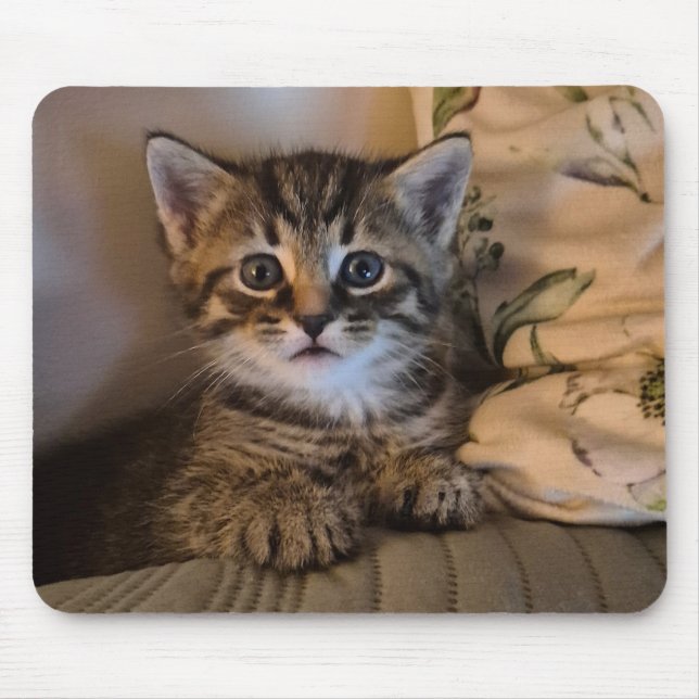Süße Katze Mousepad (Vorne)