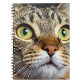 Süße Katze Notizblock