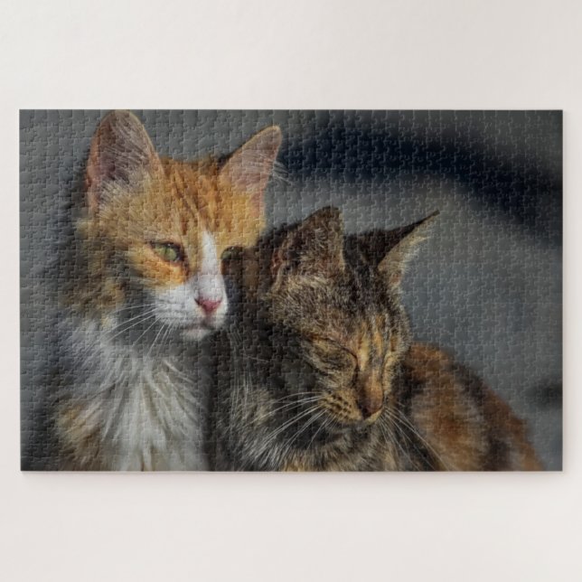 Süße Katze Puzzle (Horizontal)