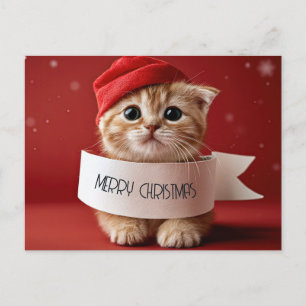 Süße Katze rotes Weihnachten