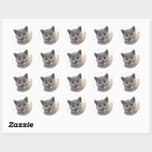 Süße Katze Runder Aufkleber
