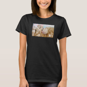 Süße Katze Sachen für Katzen Mädchen Frauen Männer T-Shirt