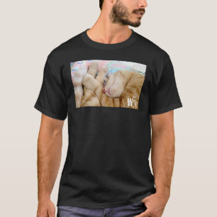Süße Katze Sachen für Katzen Mädchen Frauen Männer T-Shirt