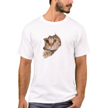 SÜßE KATZE