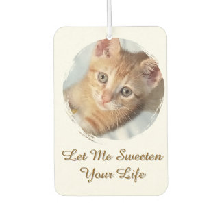 Süße Katzen-Foto, Text, ersetzbar, Autolufterfrischer
