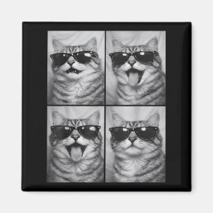 Süße Katzen mit Sonnenbrille Coole Katzen Tiere Fo Magnet