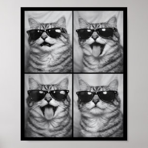 Süße Katzen mit Sonnenbrille Coole Katzen Tiere Fo Poster